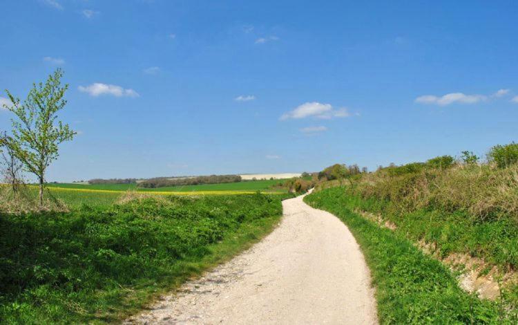 The Run, West Lavant Chichester Bagian luar foto